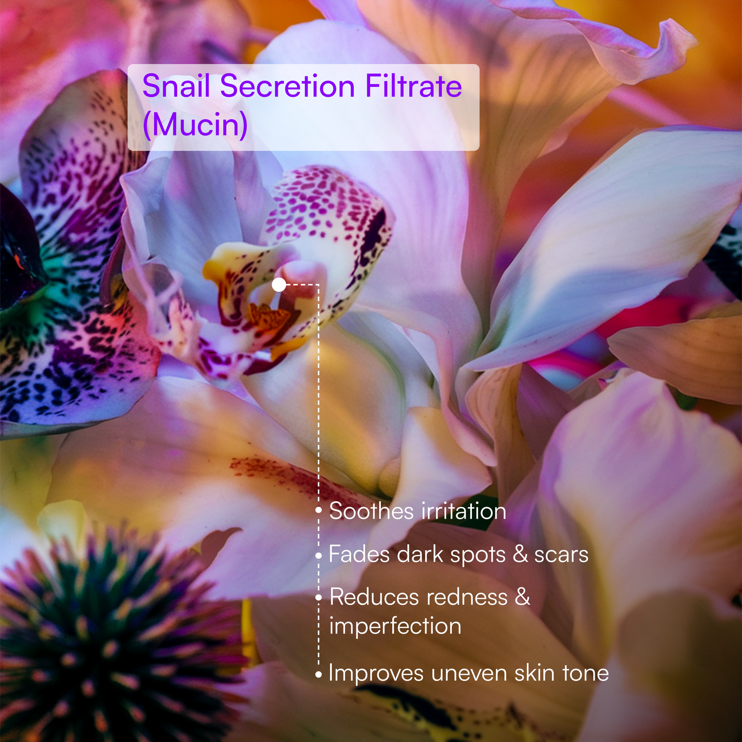Advanced Snail Mucin Essence